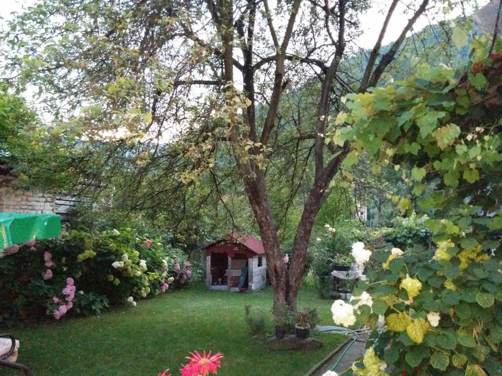 Pension Casa Anadam Baile Herculane Exterior photo