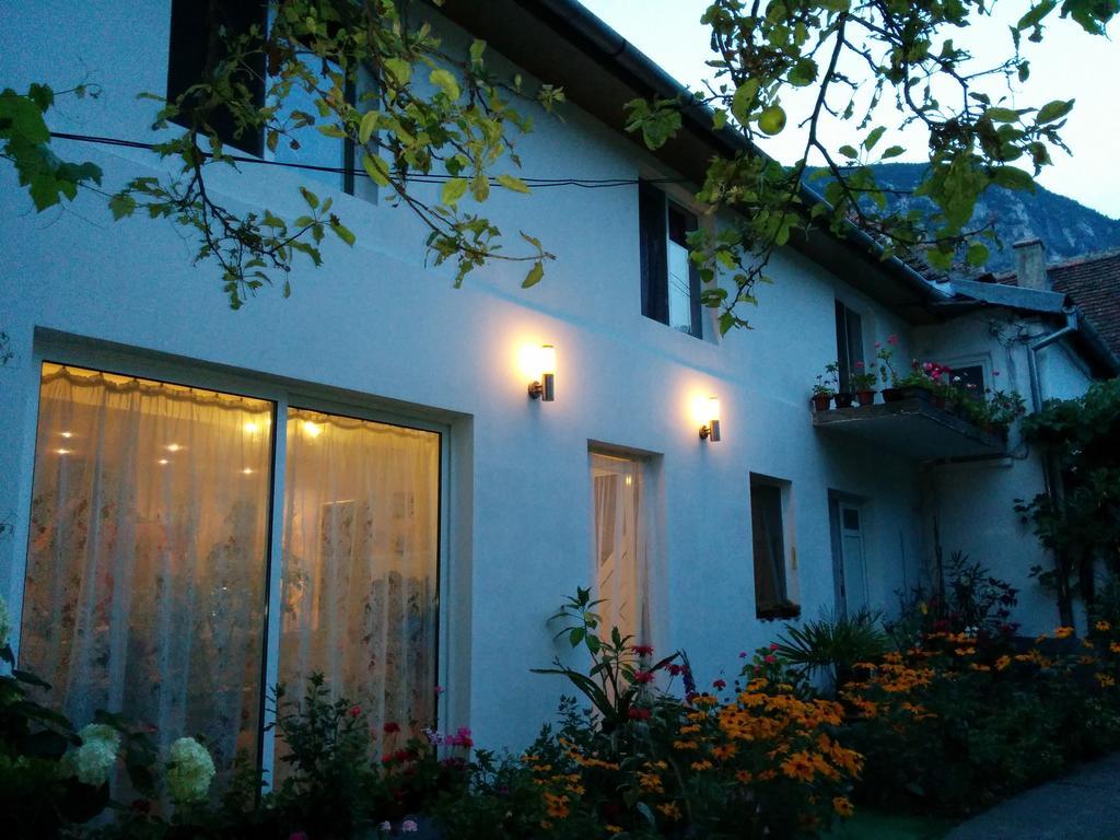 Pension Casa Anadam Baile Herculane Exterior photo